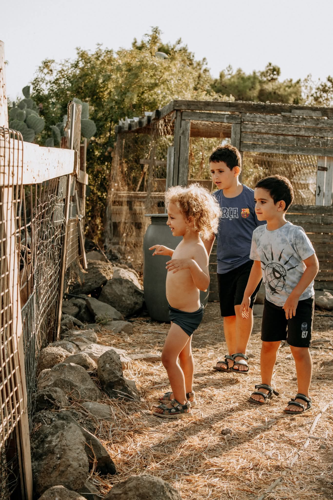 הילדים שלי בחווה